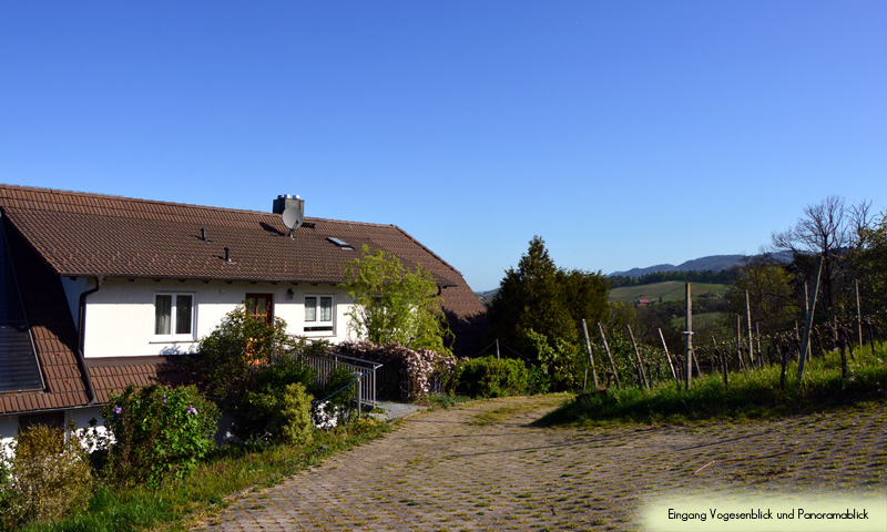 Ferienhof Straub Sasbach Ferienwohnung Eingang Vogesen- und Panorama-Blick