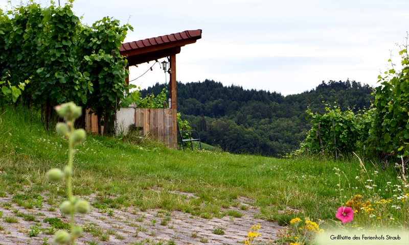 Ferienhof Straub Sasbach Ferienwohnungen Aussicht Grillplatz