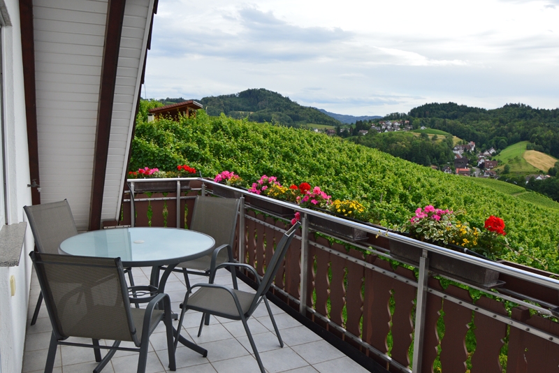 Ferienhof Straub Sasbach Ferienwohnung Vogesen-Blick Balkon