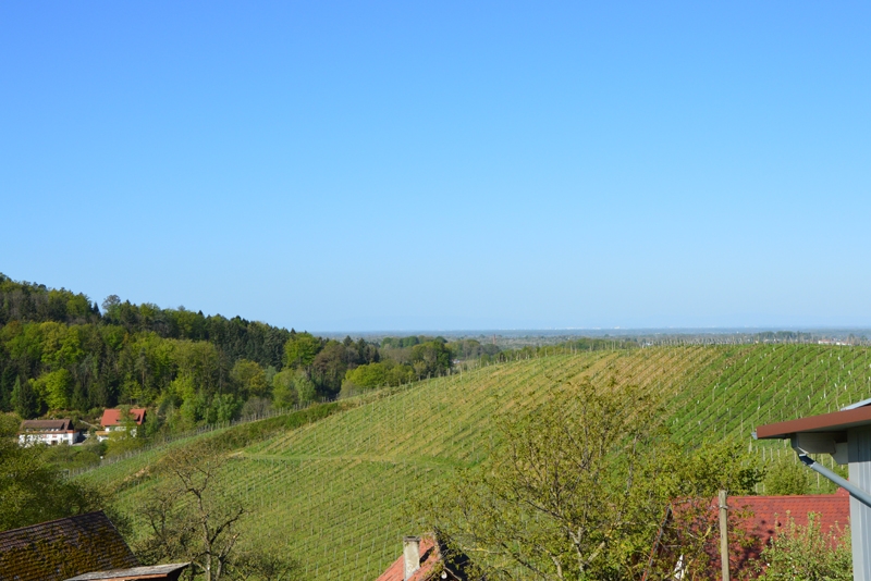 Ferienhof Straub Sasbach Ferienwohnung Vogesen-Blick Ausblick