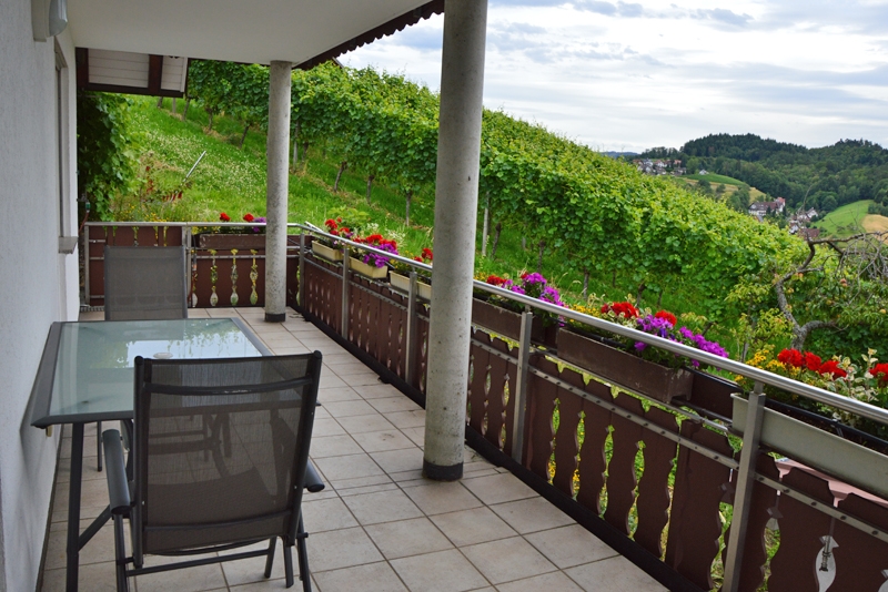 Ferienhof Straub Sasbach Ferienwohnung Weinberg-Idylle Balkon