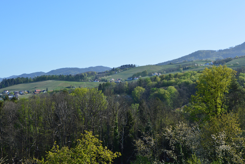 Ferienhof Straub Sasbach Ferienwohnung Panorama-Blick Aussicht Burg Windeck