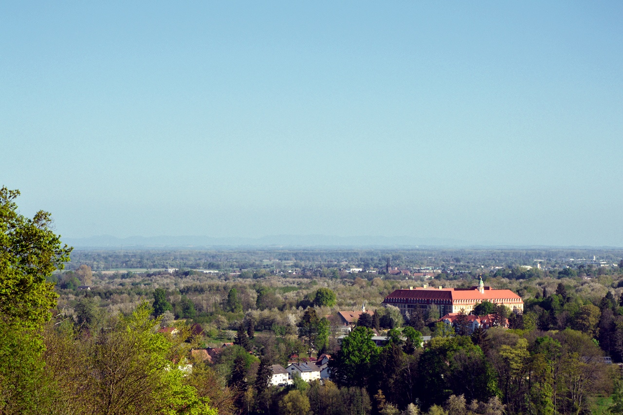 Ferienhof Straub Obersasbach Blick zum Kloster Erlenbad
