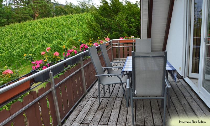 Ferienhof Straub Sasbach Ferienwohnung Panorama-Blick Balkon